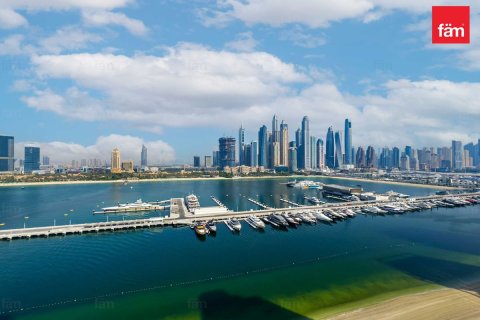 Appartement de 3 chambres à Dubai Harbour, UAE No. 89085 25