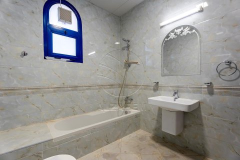 Villa de 5 chambres à Abu Dhabi, UAE No. 91401 12