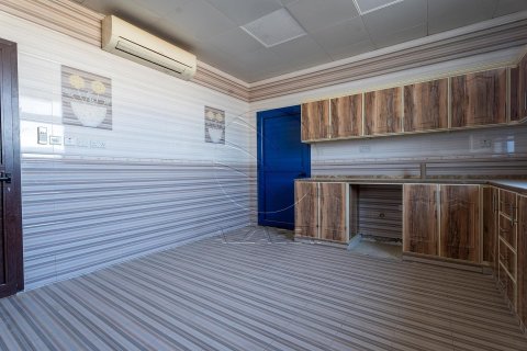 Villa de 5 chambres à Abu Dhabi, UAE No. 91401 14
