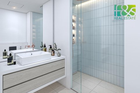 2 bedrooms Apartment in Mina Al Arab, UAE No. 22806 13
