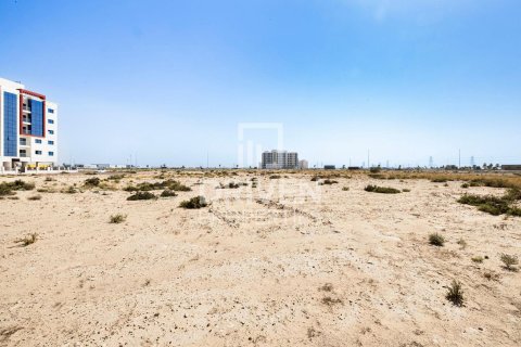 Land de 4188m² à Dubai, UAE No. 85024 4