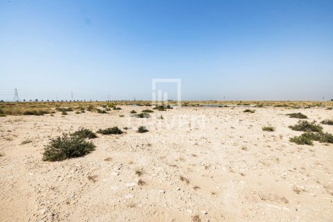 Land de 4188m² à Dubai, UAE No. 85024 10
