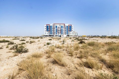 Land de 4188m² à Dubai, UAE No. 85024 3