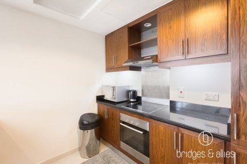 Apartment de 1 dormitorio en Downtown Dubai (Downtown Burj Dubai), UAE No. 102424 10