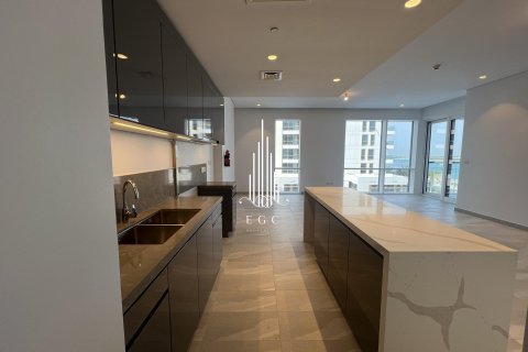 2 bedrooms Apartment on the Saadiyat Island, UAE No. 24802 13