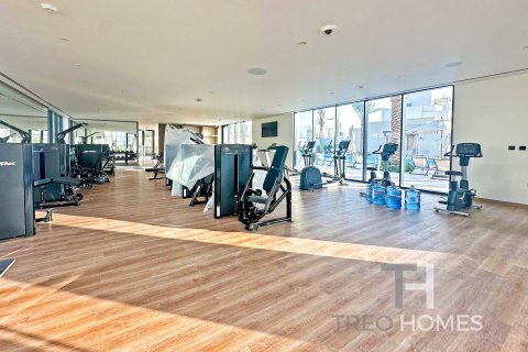 3 bedrooms Townhouse in The Valley, UAE No. 81867 8