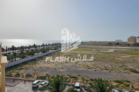 1 bedroom Apartment in Al Marjan Island, UAE No. 88252 3