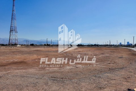 Land de 894.6m² en Al Mairid, UAE No. 88265 6