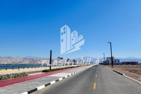 Land de 894.6m² en Al Mairid, UAE No. 88265 7