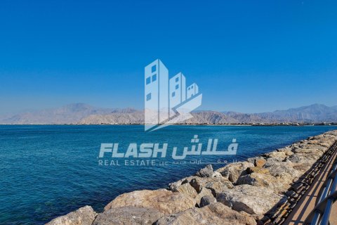 Land de 894.6m² en Al Mairid, UAE No. 88265 8