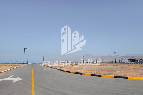 Land de 894.6m² en Al Mairid, UAE No. 88265 14