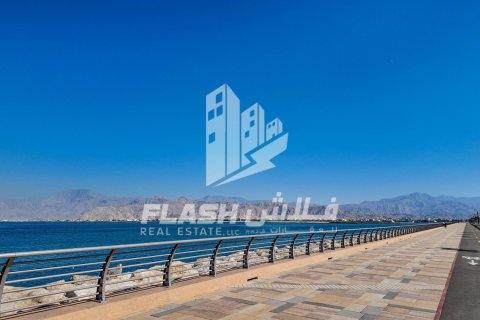Land de 894.6m² en Al Mairid, UAE No. 88265 1