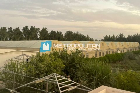 23225.6m² Land in Abu Dhabi, UAE No. 8515 24