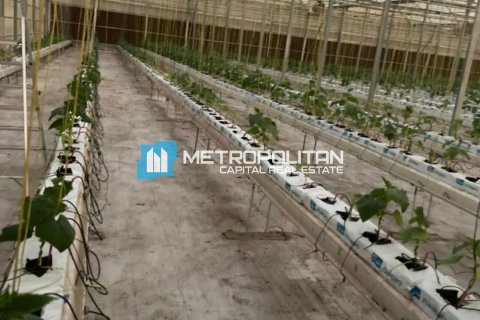 23225.6m² Land in Abu Dhabi, UAE No. 8515 25