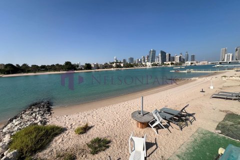 4 bedrooms Villa in Doha, Qatar No. 58533 21