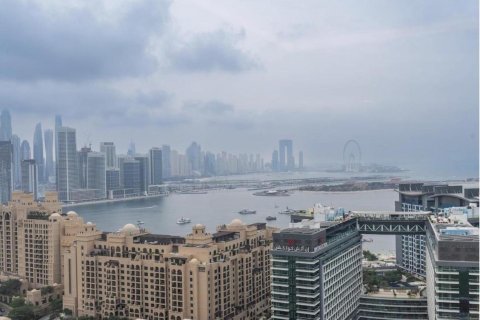 Studio Apartment in Palm Jumeirah, UAE No. 88120 10