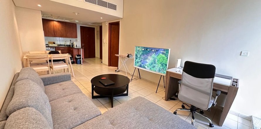 Appartement de 1 chambre à Dubai, UAE No. 100052