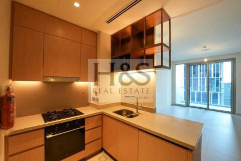 Apartment de 2 dormitorios en Downtown Dubai (Downtown Burj Dubai), UAE No. 102849 10