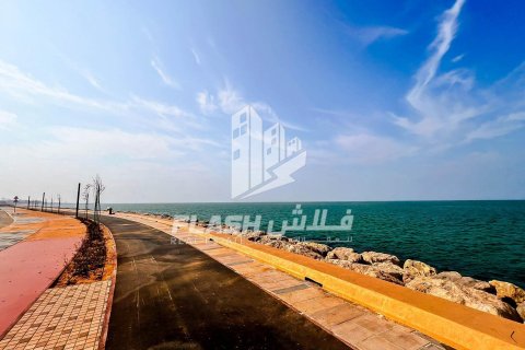 Земельный участок 900м² в Al Mairid, ОАЭ №15241 22
