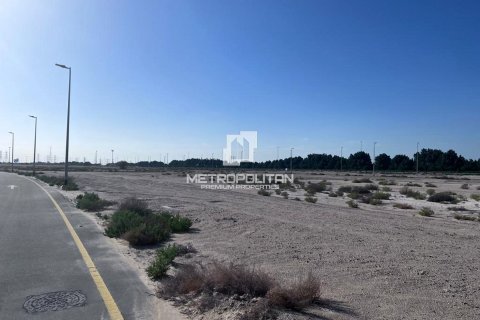 Land de 977m² en Jebel Ali, UAE No. 78722 7