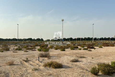Land de 977m² en Jebel Ali, UAE No. 78722 13