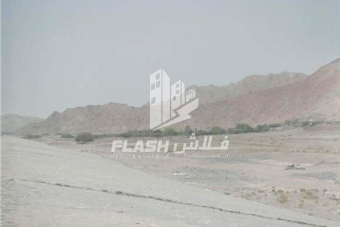 Land de 9290.2m² en Shamal Julphar, UAE No. 32514 10