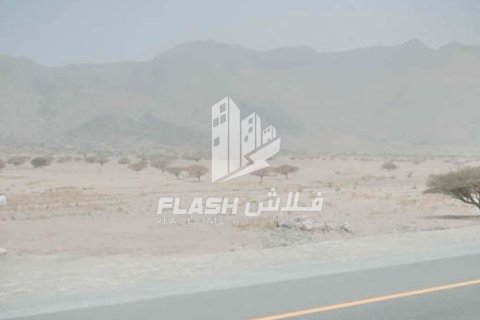 Land de 9290.2m² en Shamal Julphar, UAE No. 32514 5
