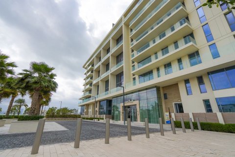 1 غرف نوم شقة على Saadiyat Cultural District, الإمارات العربية المتحدة رقم 79762 15