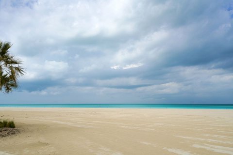 1 غرف نوم شقة على Saadiyat Cultural District, الإمارات العربية المتحدة رقم 79762 2