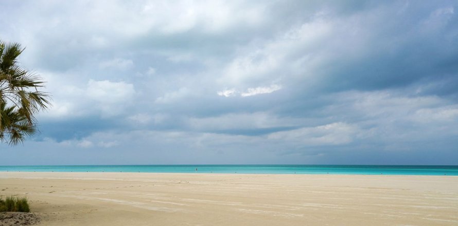 1 غرف نوم شقة على Saadiyat Cultural District, الإمارات العربية المتحدة رقم 79762