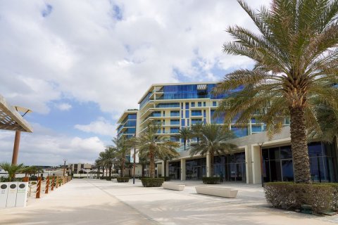1 غرف نوم شقة على Saadiyat Cultural District, الإمارات العربية المتحدة رقم 79762 5