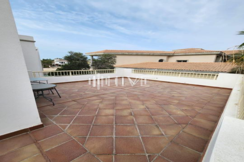 4 bedrooms Villa in Signature Villas, UAE No. 50371 6