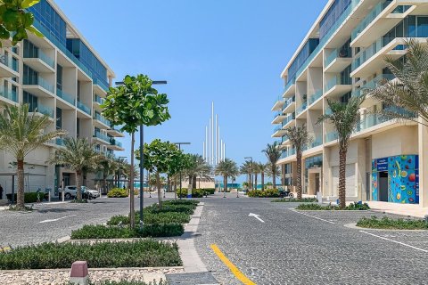 2 غرف نوم تاون هاوس على Saadiyat Cultural District, الإمارات العربية المتحدة رقم 36781 20