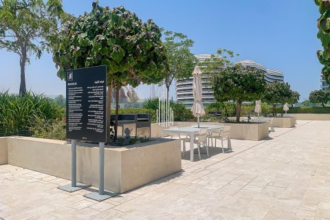 2 غرف نوم تاون هاوس على Saadiyat Cultural District, الإمارات العربية المتحدة رقم 36781 16