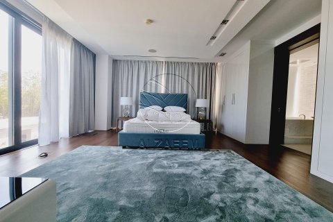 6 bedrooms Villa in Nurai Island, UAE No. 91508 16