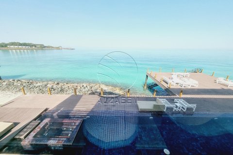 6 bedrooms Villa in Nurai Island, UAE No. 91508 19
