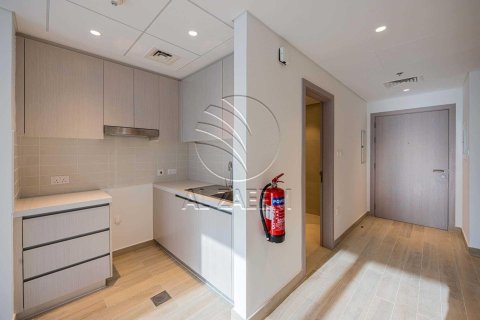 Studio Apartment on the Yas Island, UAE No. 91497 5