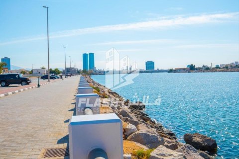 Земельный участок 449.9м² в Al Mairid, ОАЭ №88549 2