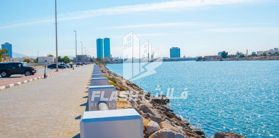 Земельный участок 449.9м² в Al Mairid, ОАЭ №88549