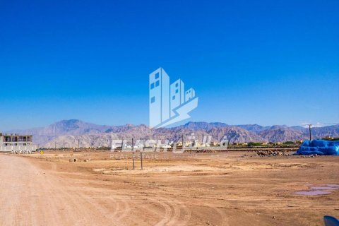 Земельный участок 449.9м² в Al Mairid, ОАЭ №88549 10