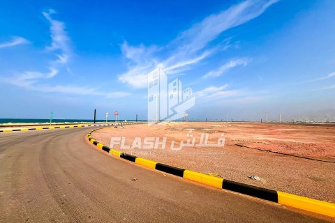 Земельный участок 449.9м² в Al Mairid, ОАЭ №88549 21
