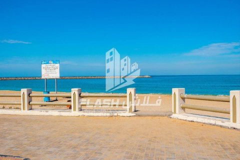 Земельный участок 449.9м² в Al Mairid, ОАЭ №88549 13
