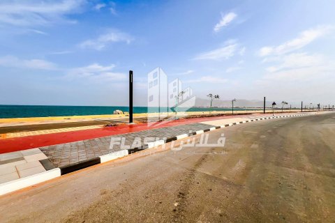 Земельный участок 449.9м² в Al Mairid, ОАЭ №88549 20