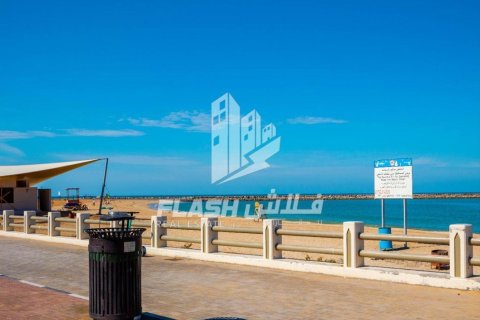 Земельный участок 449.9м² в Al Mairid, ОАЭ №88549 17