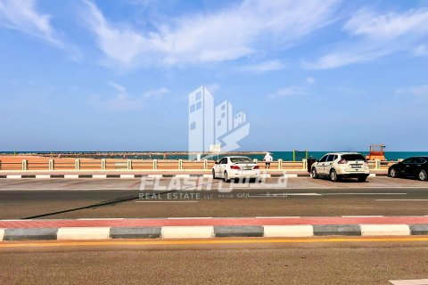 Земельный участок 449.9м² в Al Mairid, ОАЭ №88549 26