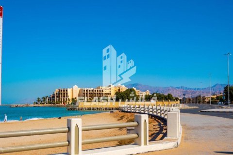 Земельный участок 449.9м² в Al Mairid, ОАЭ №88549 4