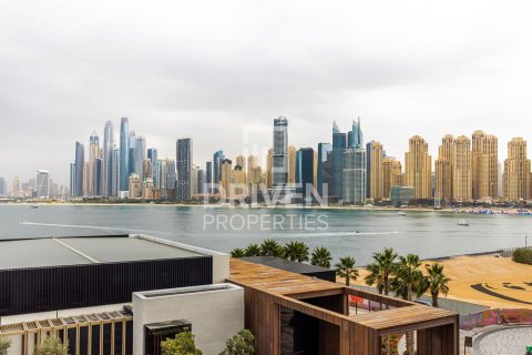 4 bedrooms Apartment in Bluewaters, UAE No. 85694 21