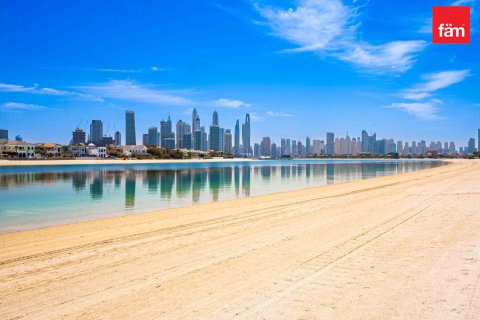 4 غرف نوم فيلا في نخلة جميرا, الإمارات العربية المتحدة رقم 45015 5