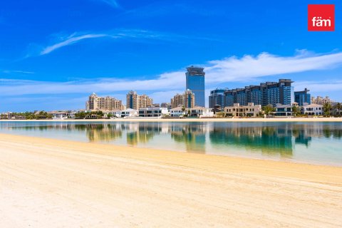 4 غرف نوم فيلا في نخلة جميرا, الإمارات العربية المتحدة رقم 45015 19