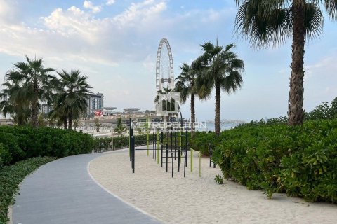 Apartment de 1 dormitorio en Jumeirah Beach Residence, UAE No. 78639 13